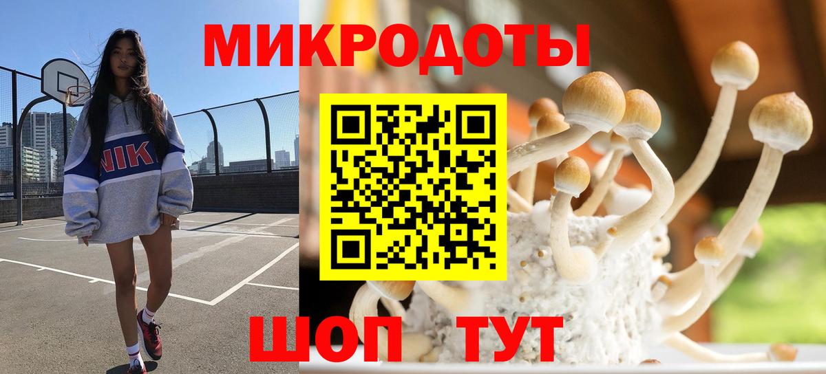 Псилоцибиновые грибы MAGIC MUSHROOMS Карачаевск