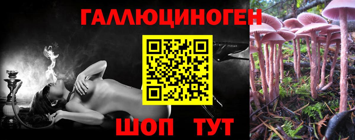 Карачаевск  Галлюциногенные грибы Psilocybe  Вход с VPN 