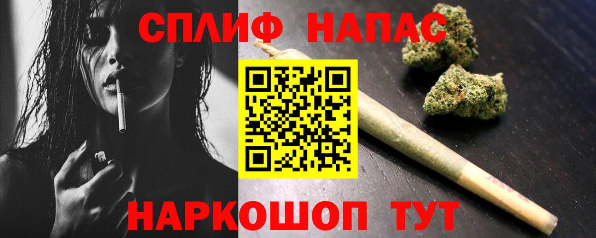 Бошки марихуана сатива Карачаевск